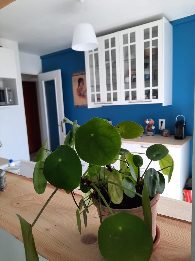 Appart Proche Plage Avec Grand Balcon Cannes Exterior foto